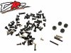 DRZ screw set