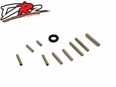 DRZ Pin set - Click Image to Close