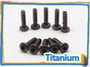 Titanium Screw