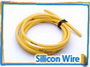 Silicon Wire